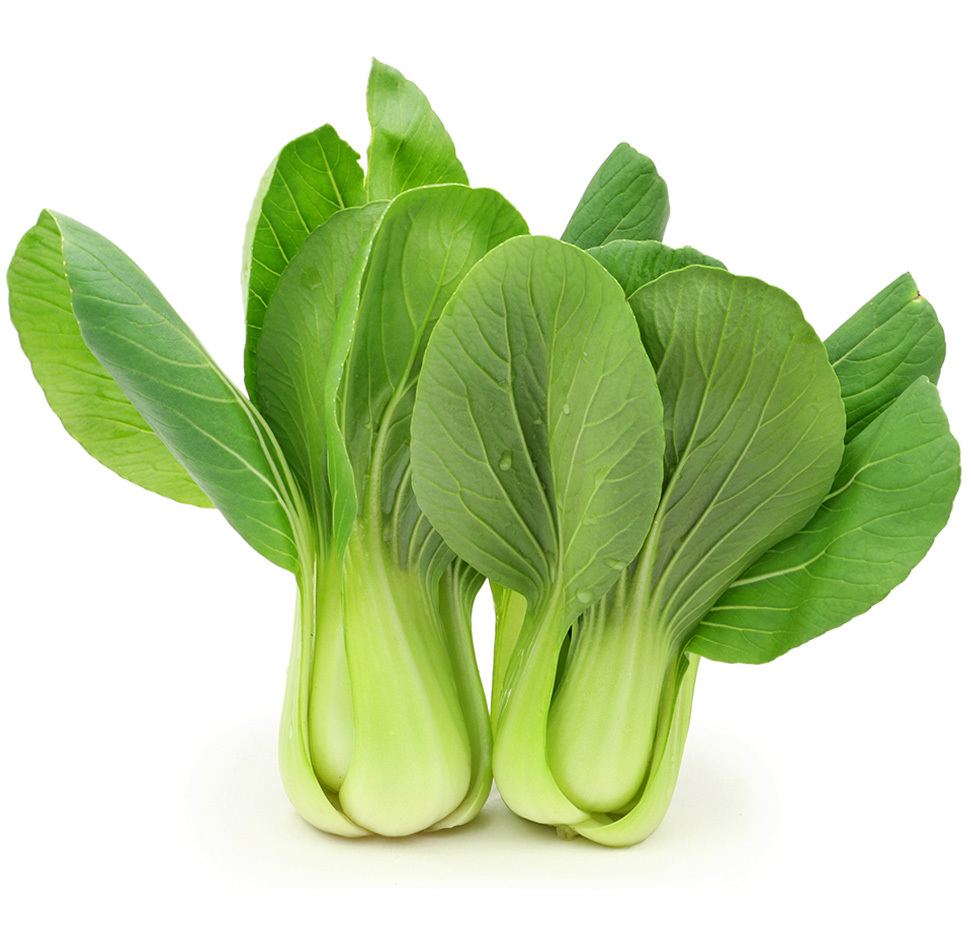 Green Bok Choy