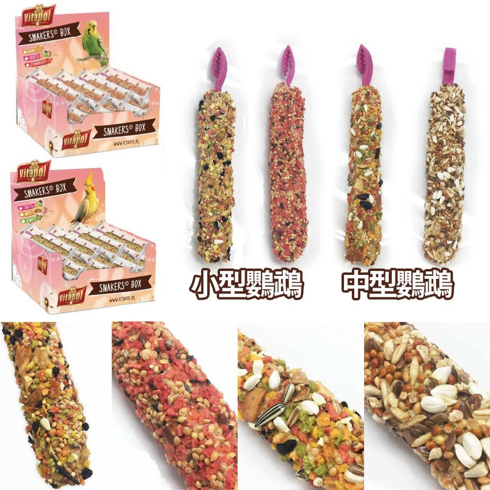 【Vitapol 維他寶】鸚鵡棒棒糖45g 中型鸚鵡/小型鸚鵡 綜合水果/堅果/草莓