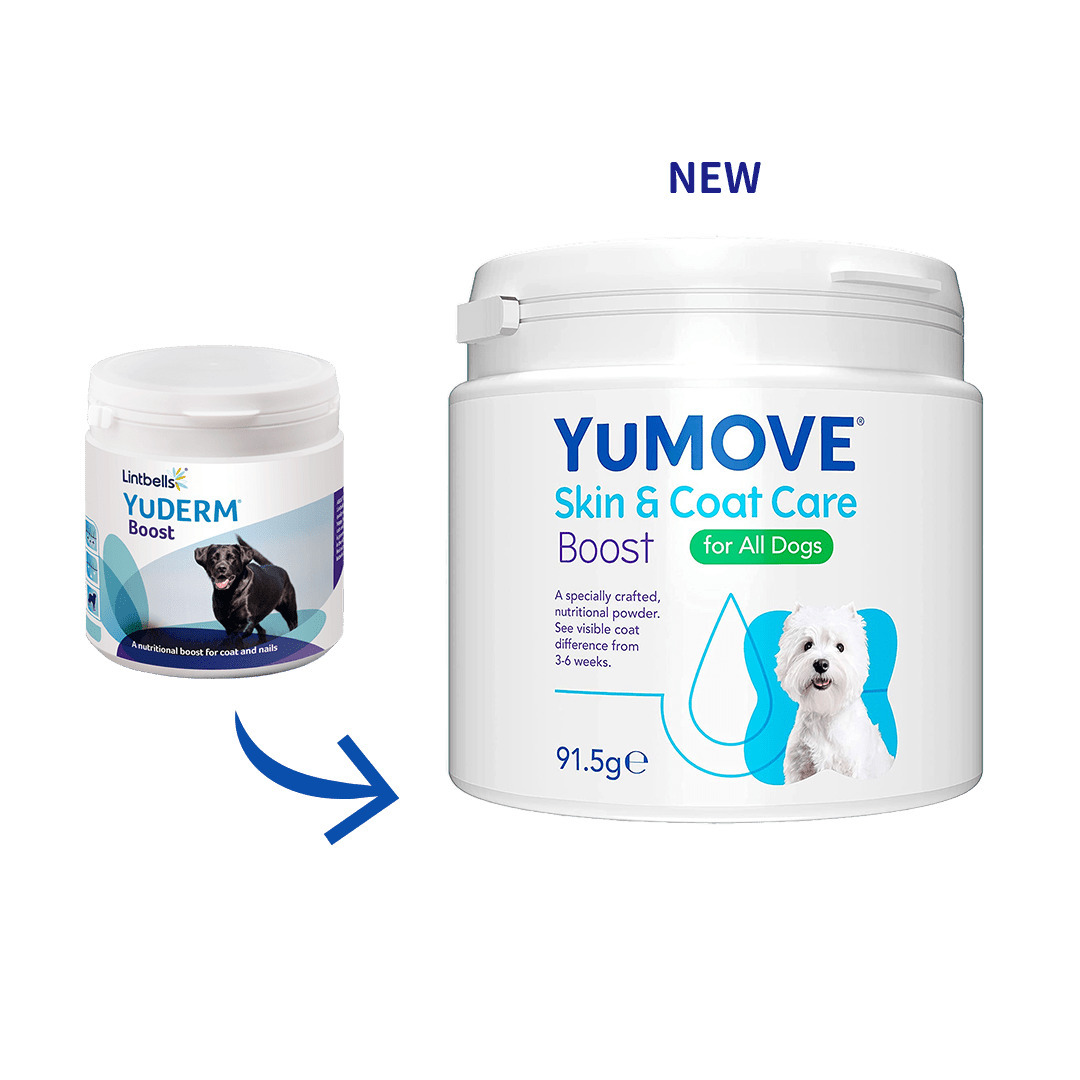 YuMOVE - 優美登爆毛(犬貓)