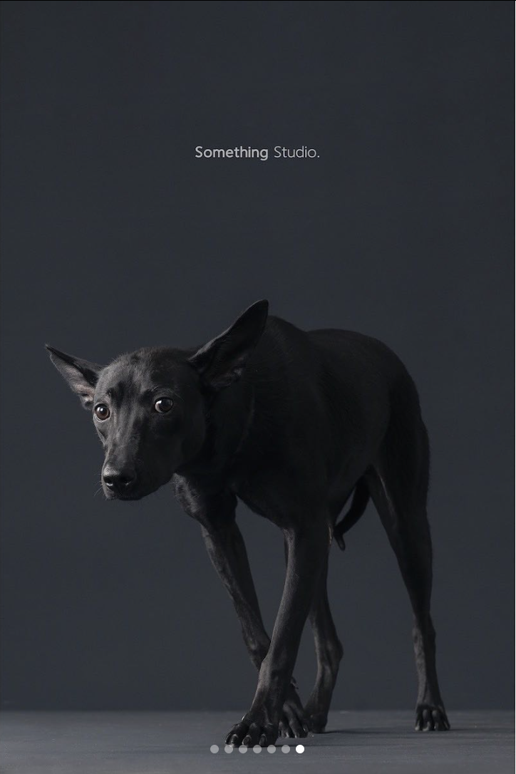 PEHOM x Somthing Studio - 待領養 - 搗瓜