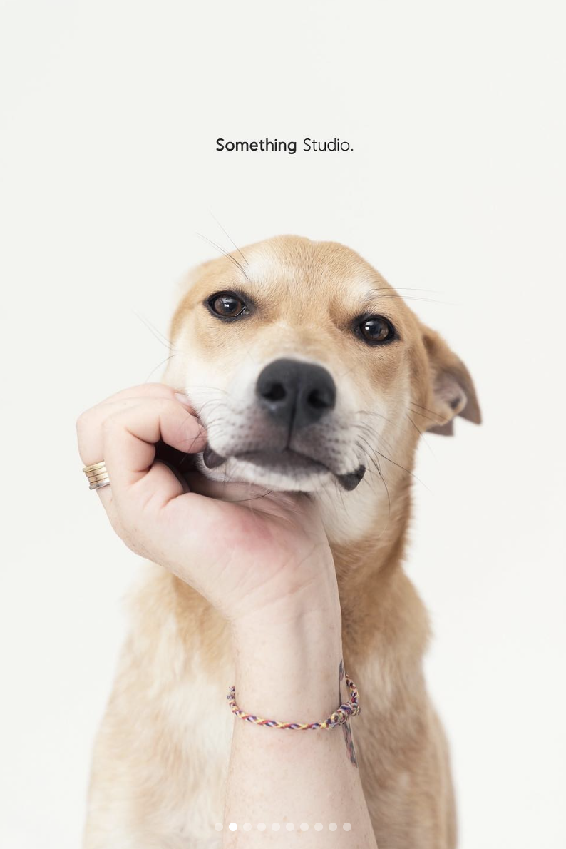 PEHOM x Somthing Studio - 待領養 - Rupert