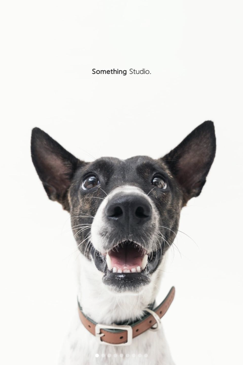 PEHOM x Somthing Studio - 待領養 - 樂樂