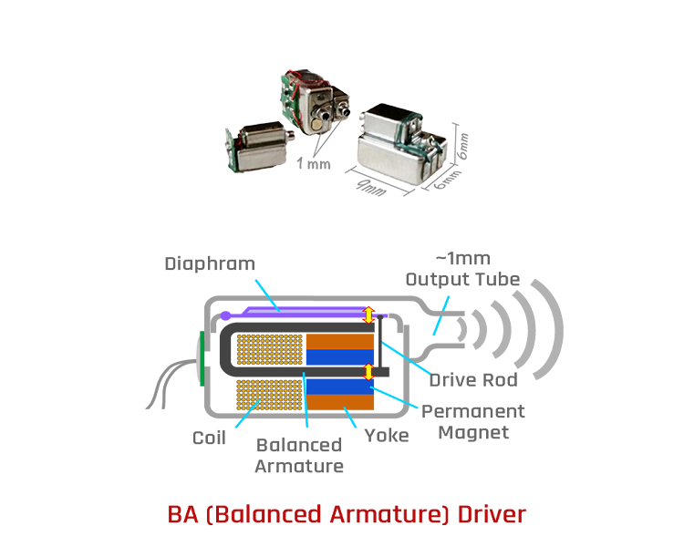 Typical Balanced Armature Driver