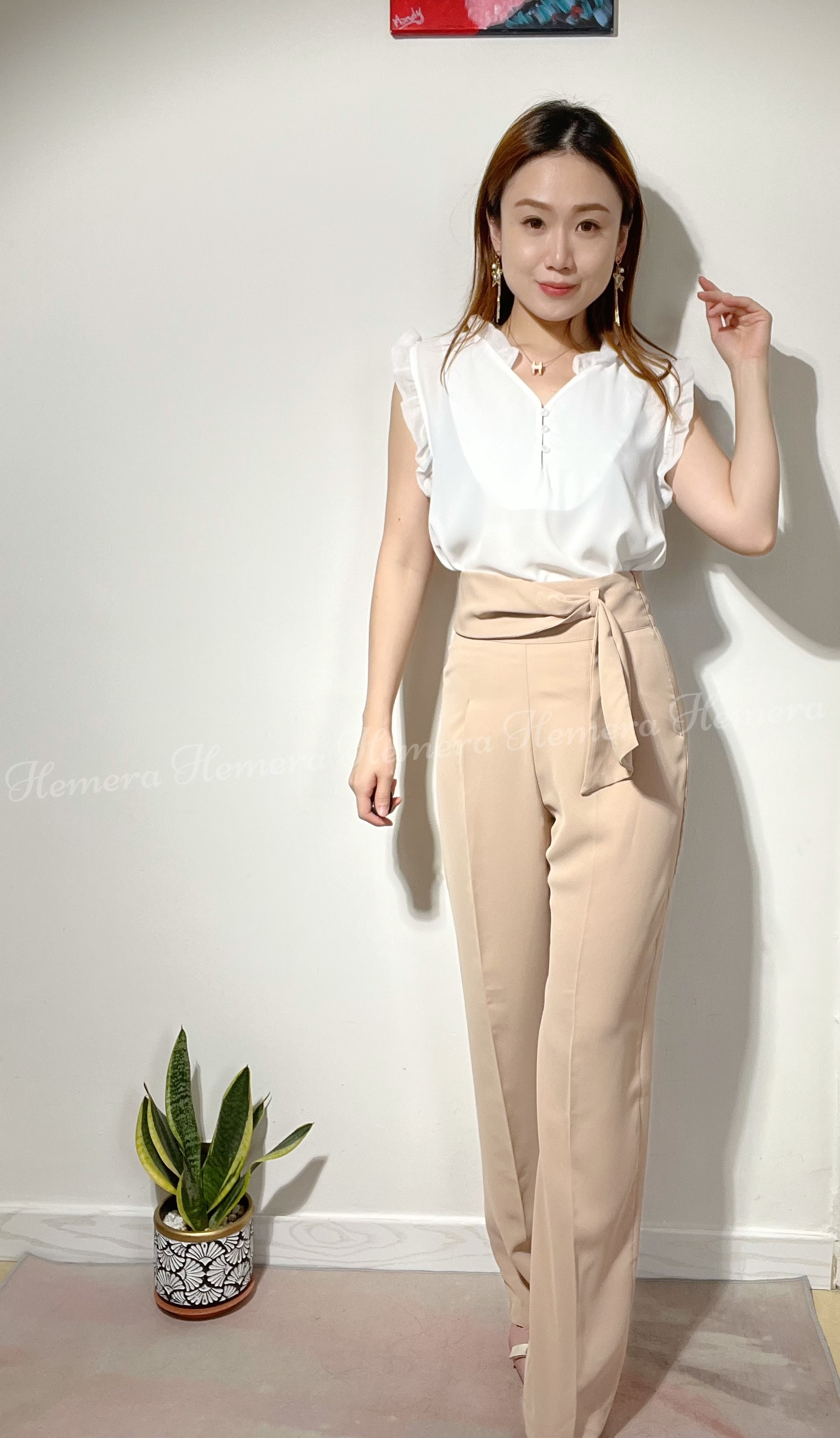 On Sale: Pretty Chiffon Top TP22S0675