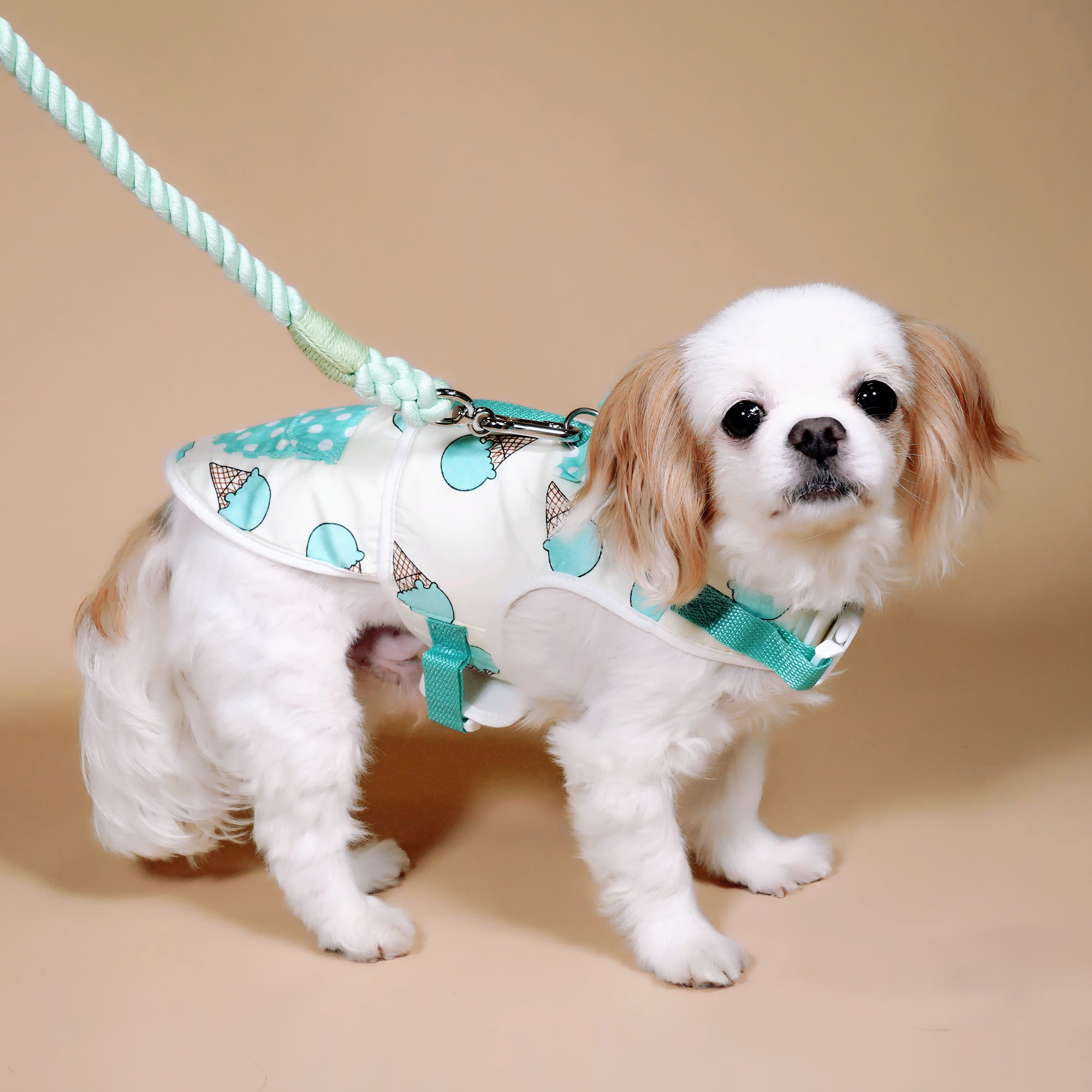 Mint Green Ice Cream Polka Dot Harness Vest  (excluded Dog Leash)