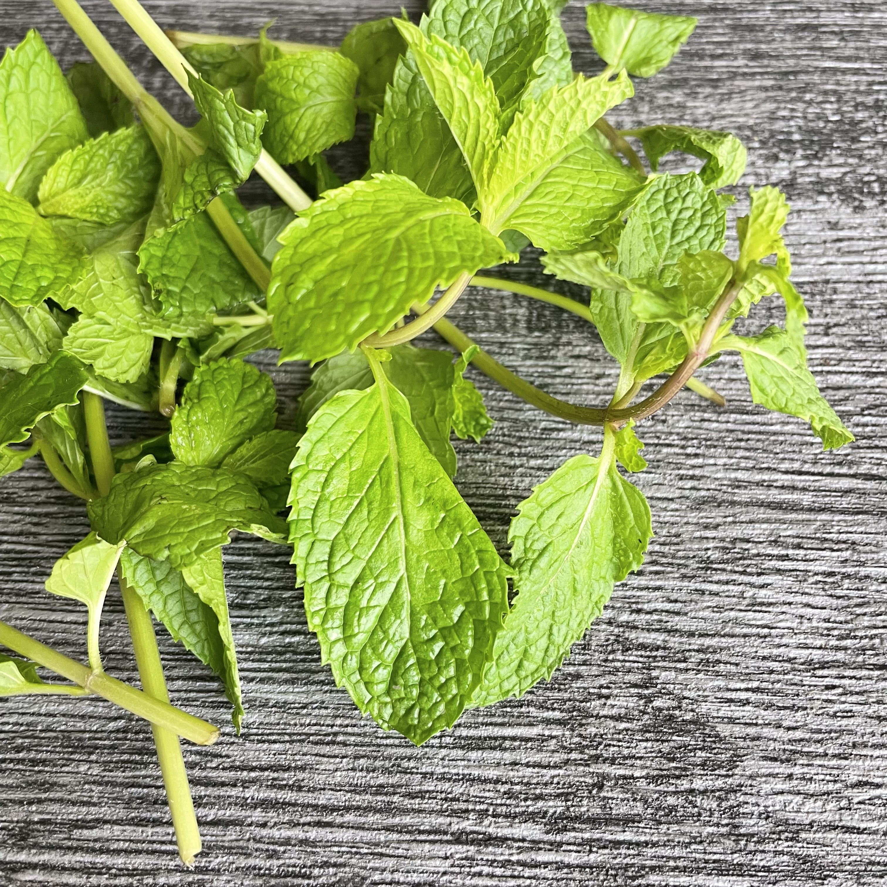 薄荷_迷你份量30g