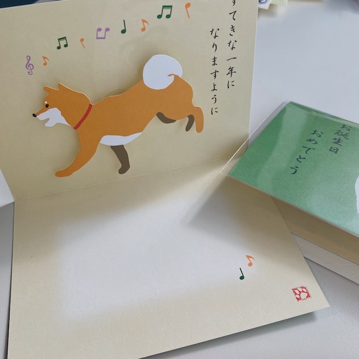 快樂柴犬 柴田先生 立體彈跳生日卡片 賀卡｜日本ACTIVE CORPORATION