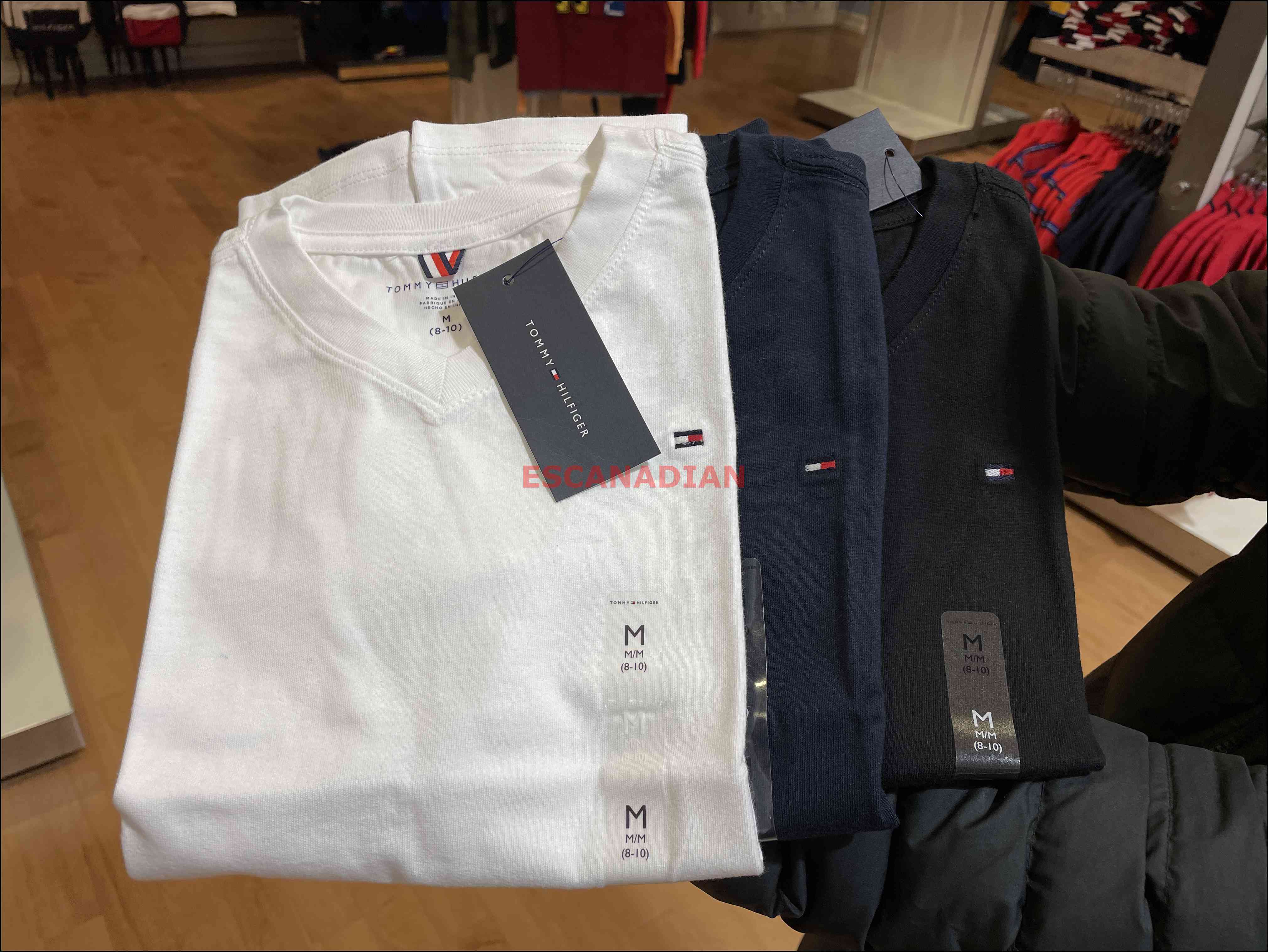 TOMMY 男大童 經典款 素面 V領 小LOGO 短TEE (3色)