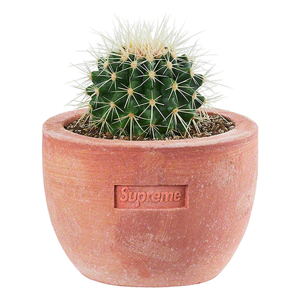 -(C02)-SUPREME POGGI UGO PLANTERS (SMALL) 小花盆-SS22A48A