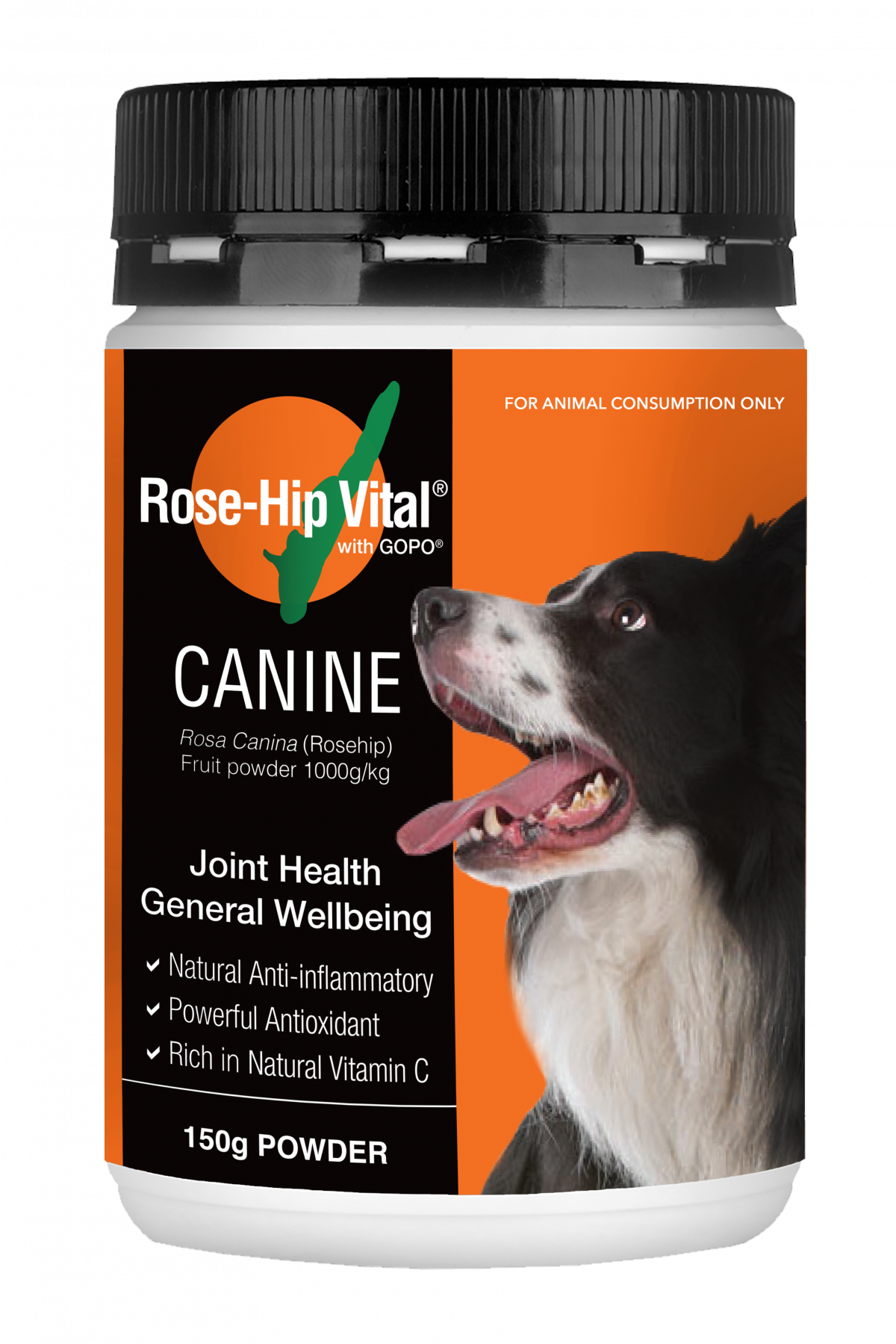rose-hip vital canine