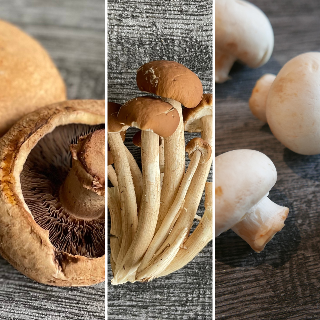 迷你料理綜合菇包_柳波蘑