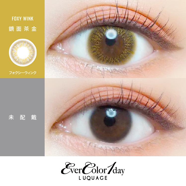 EverColor 艾薇卡彩色日拋 鏡面茶金Foxy Wink 10片裝/盒