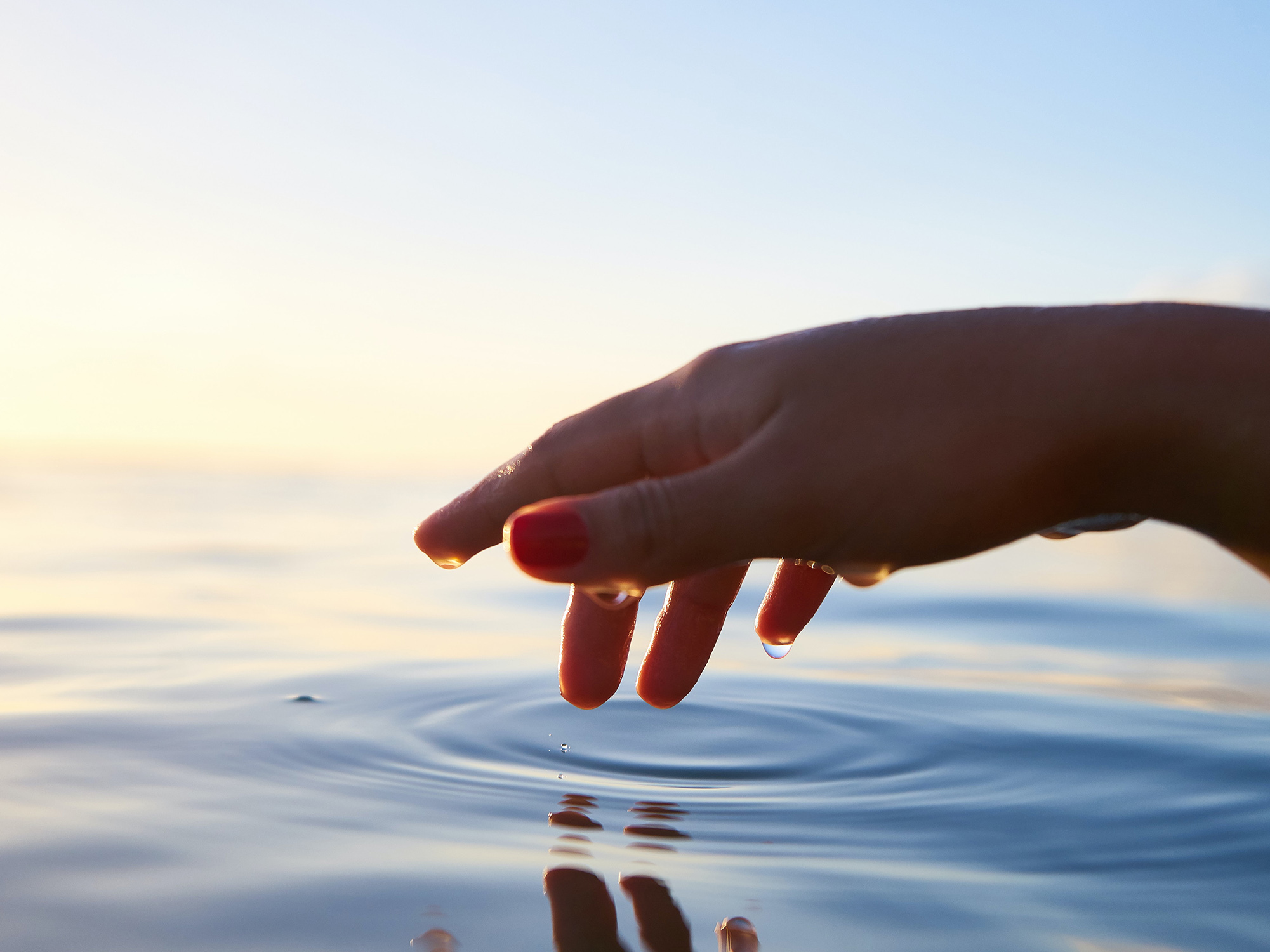 油屑淨化 祛油淨屑療程