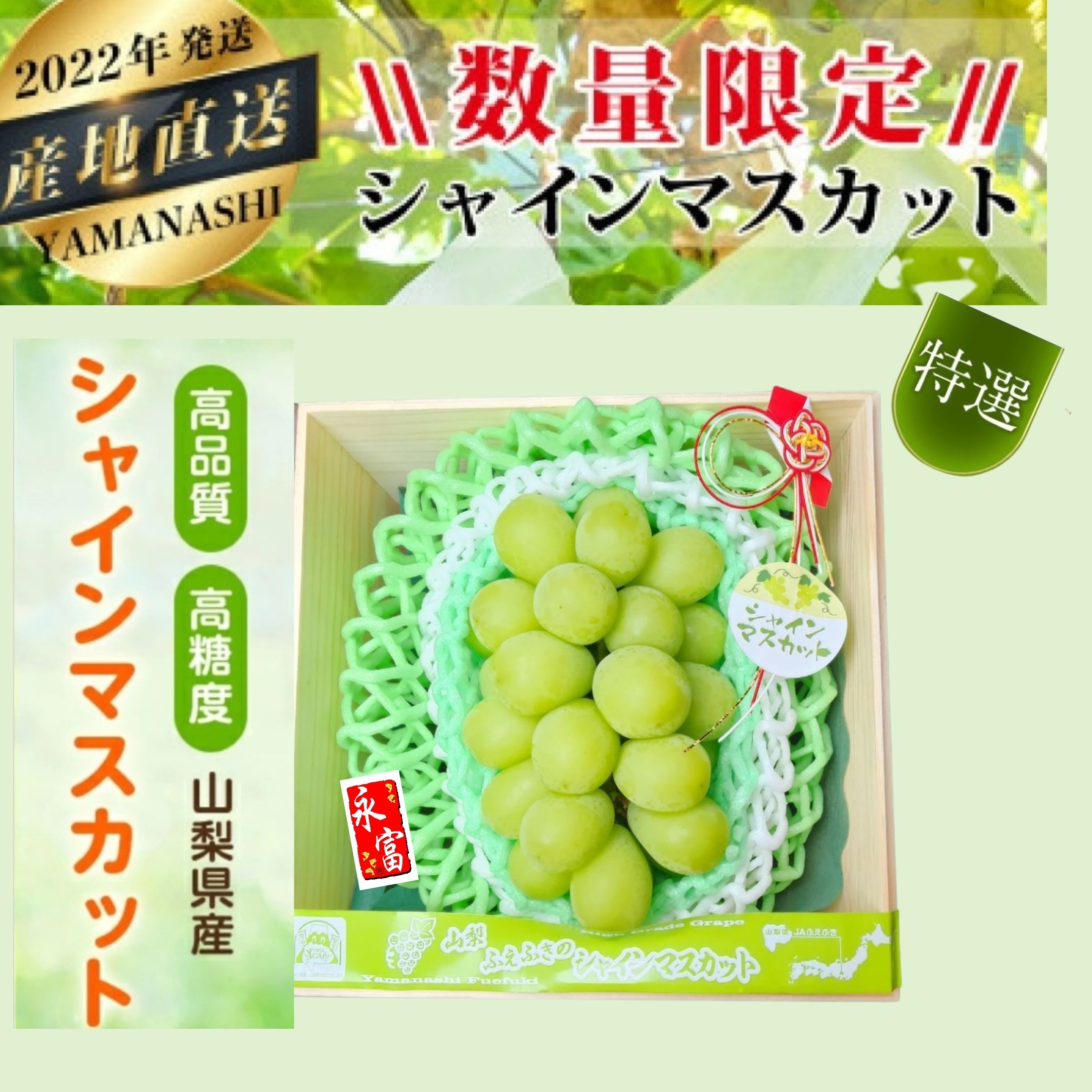 日本山梨縣香印提子