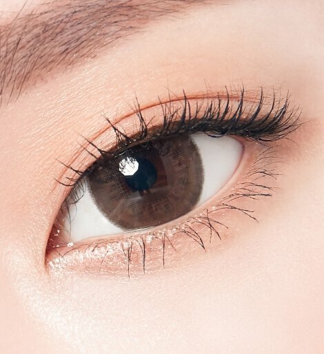 [預訂]Lenstown Back To Basic STREET 季拋彩妝隱形眼鏡｜每樽1片 ( Ash Brown  )