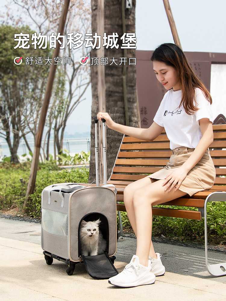 DODOPET拉杆手提包 大号