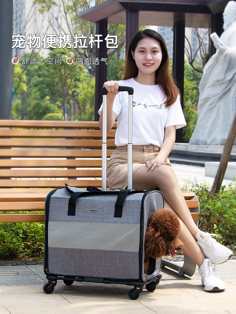 DODOPET拉杆手提包 大号