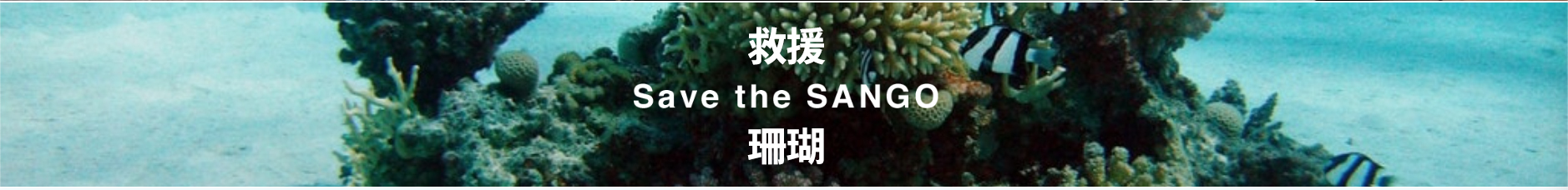 DOORS 救援沖繩珊瑚礁計畫