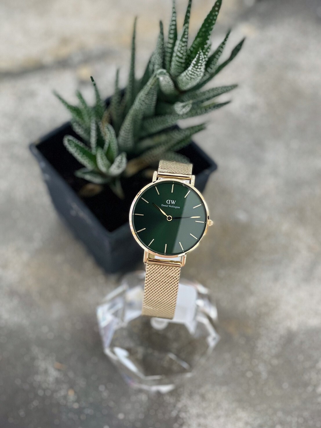 【DW Daniel Wellington】幻彩森林米蘭帶腕錶 DW00100480 32mm  現代鐘錶