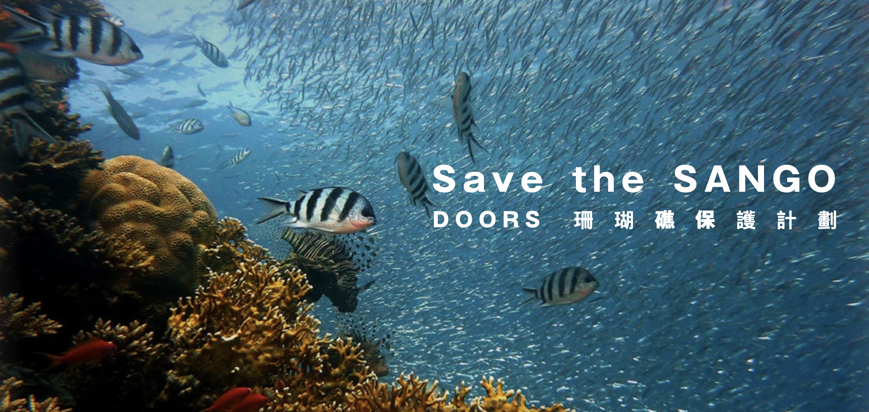 DOORS 珊瑚礁保護支援計畫