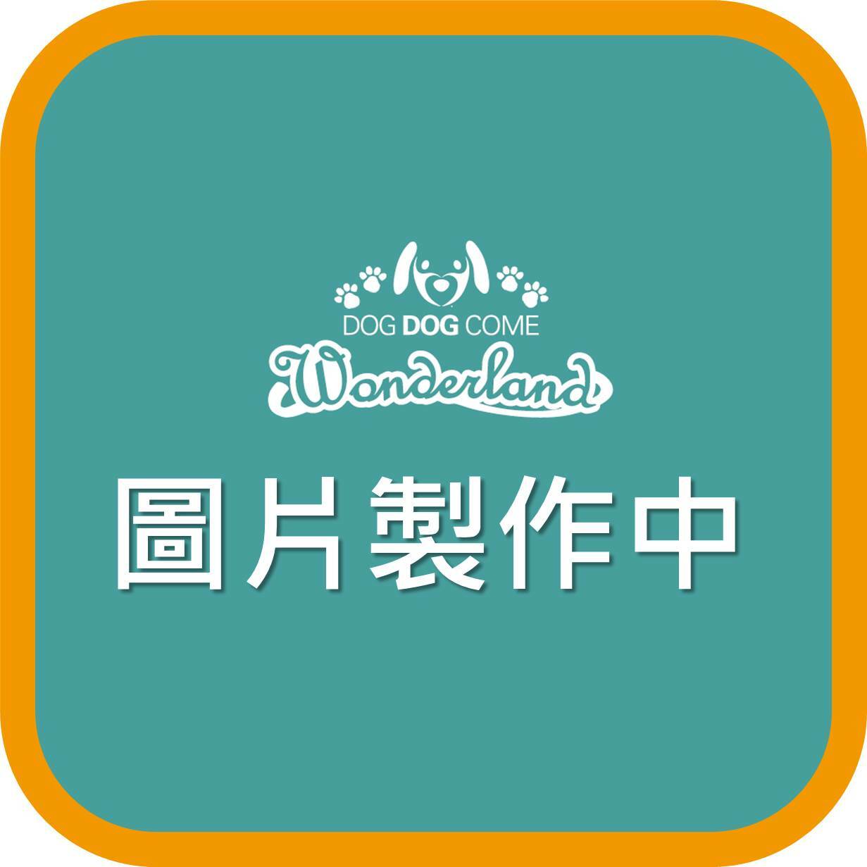 寵物狗慢食盆碗 (橙色)