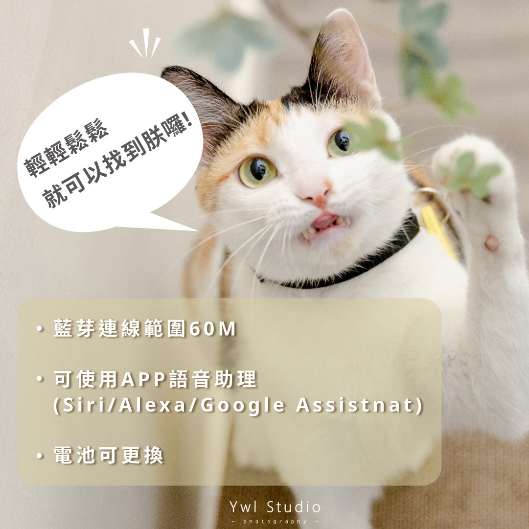 Chipolo 防丟小幫手