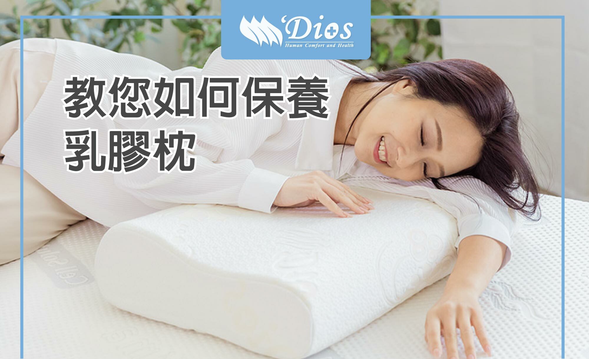 如何教您保養乳膠枕
