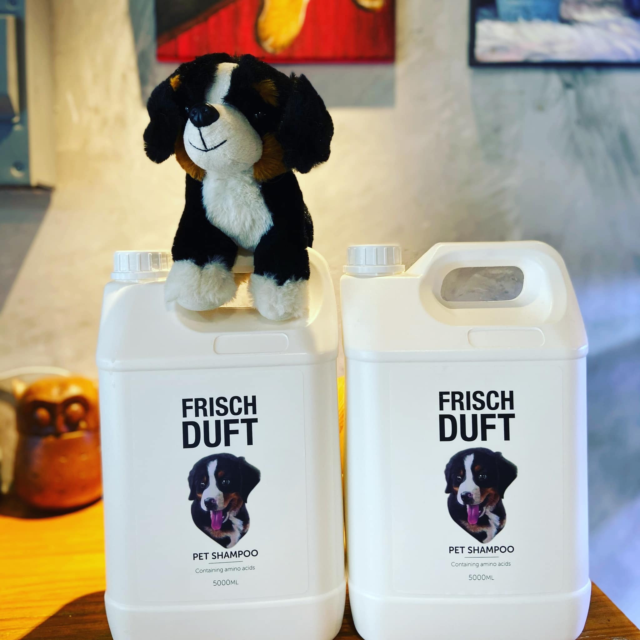 FRISCH DUFT Dog Shampoo 5L