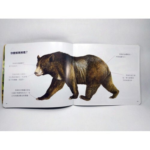 易讀寶 我的動物百科故事4本 點讀書