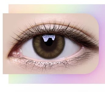 [月拋][散光] LENSME Torica Monthly Eye Bridge每月拋棄彩妝隱形眼鏡｜2片 (Brown)