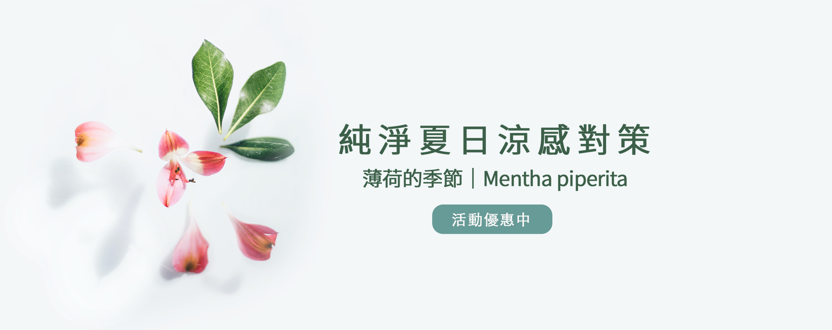 薄荷季,涼感精油,胡椒薄荷