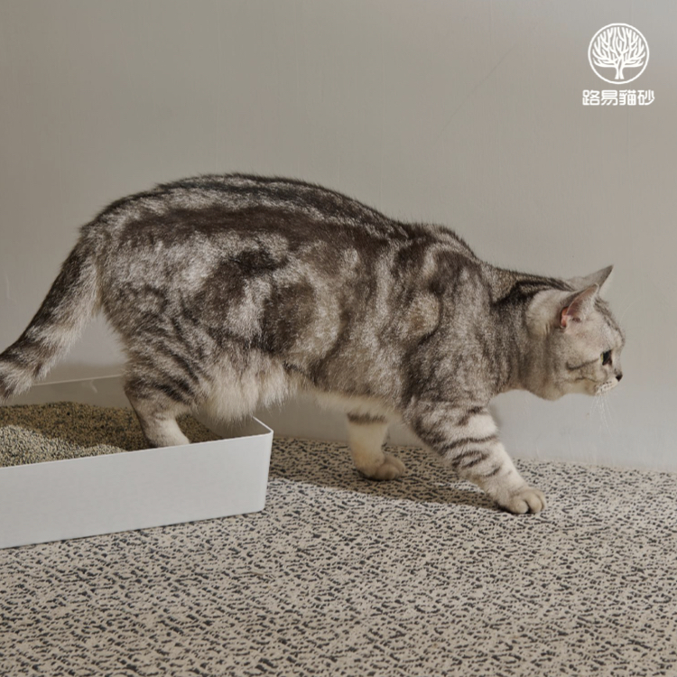 室內消臭純砂|無香 (12入) $212/包【貓砂除臭/除臭貓砂/除臭貓砂推薦】