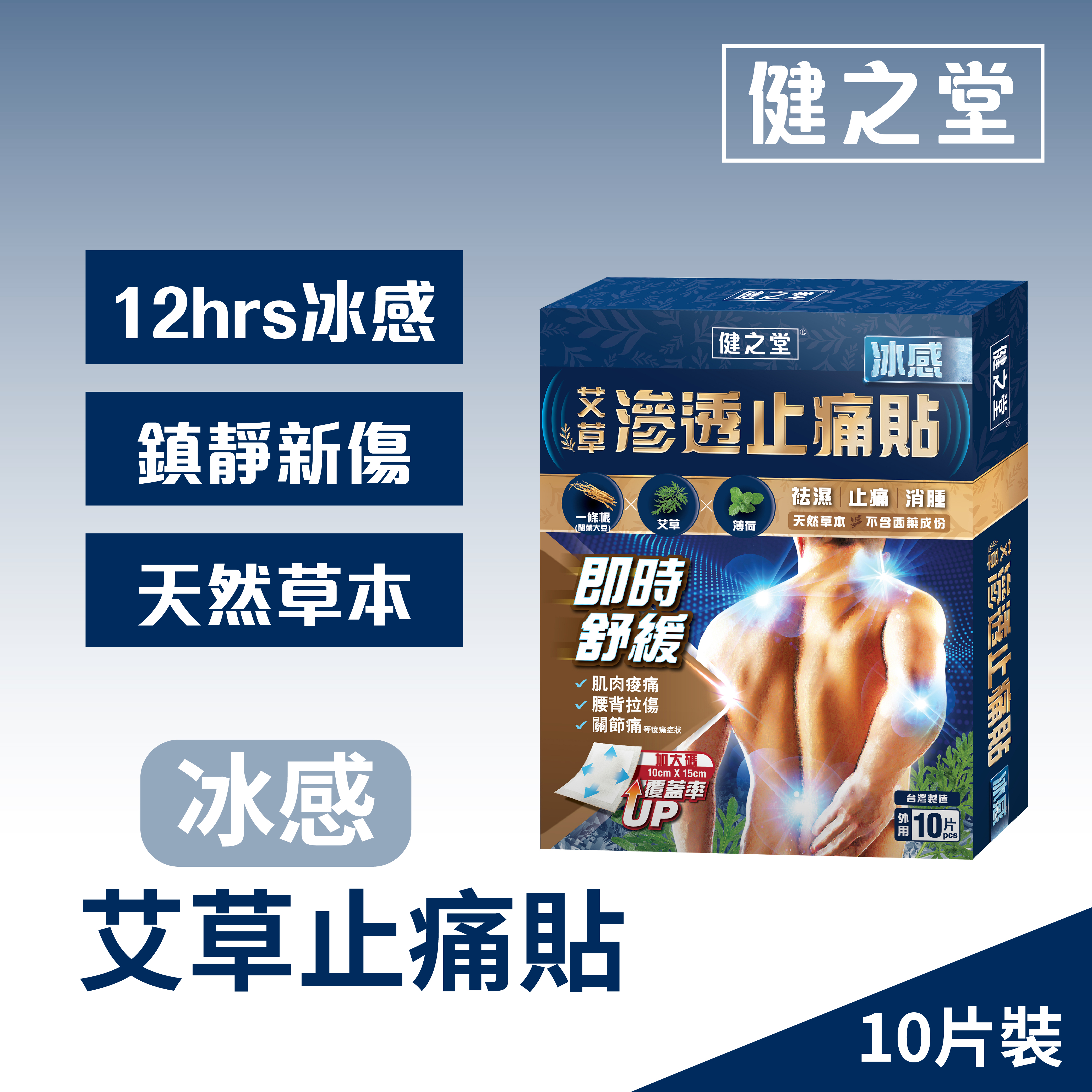 [多件優惠] 健之堂 金門一條根艾草滲透止痛貼 (冰感) 10片裝