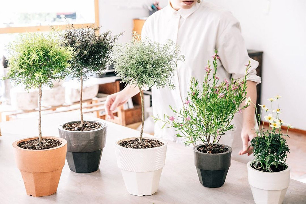 【N/OH】澪標 · 植木鉢 𝟮𝟱灰(𝙈)