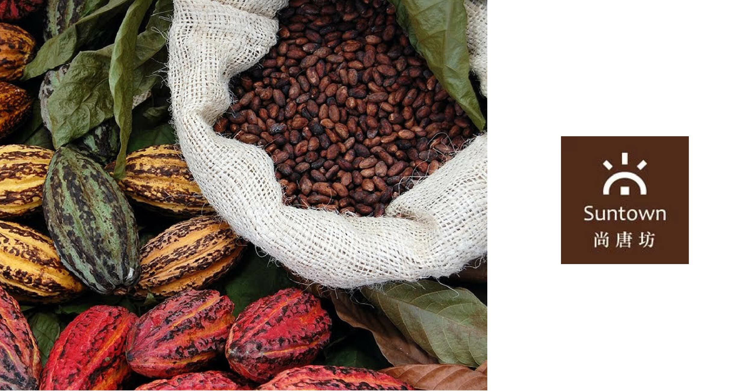 尚唐坊Suntown100%原豆原脂黑巧克力 巧克力專賣