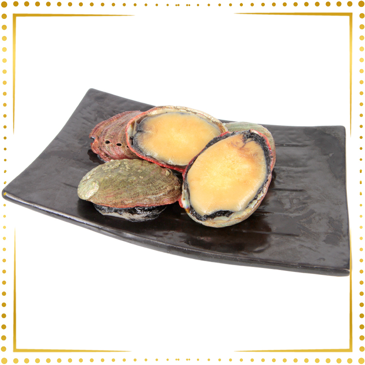 急凍智利鮑魚 (1公斤)