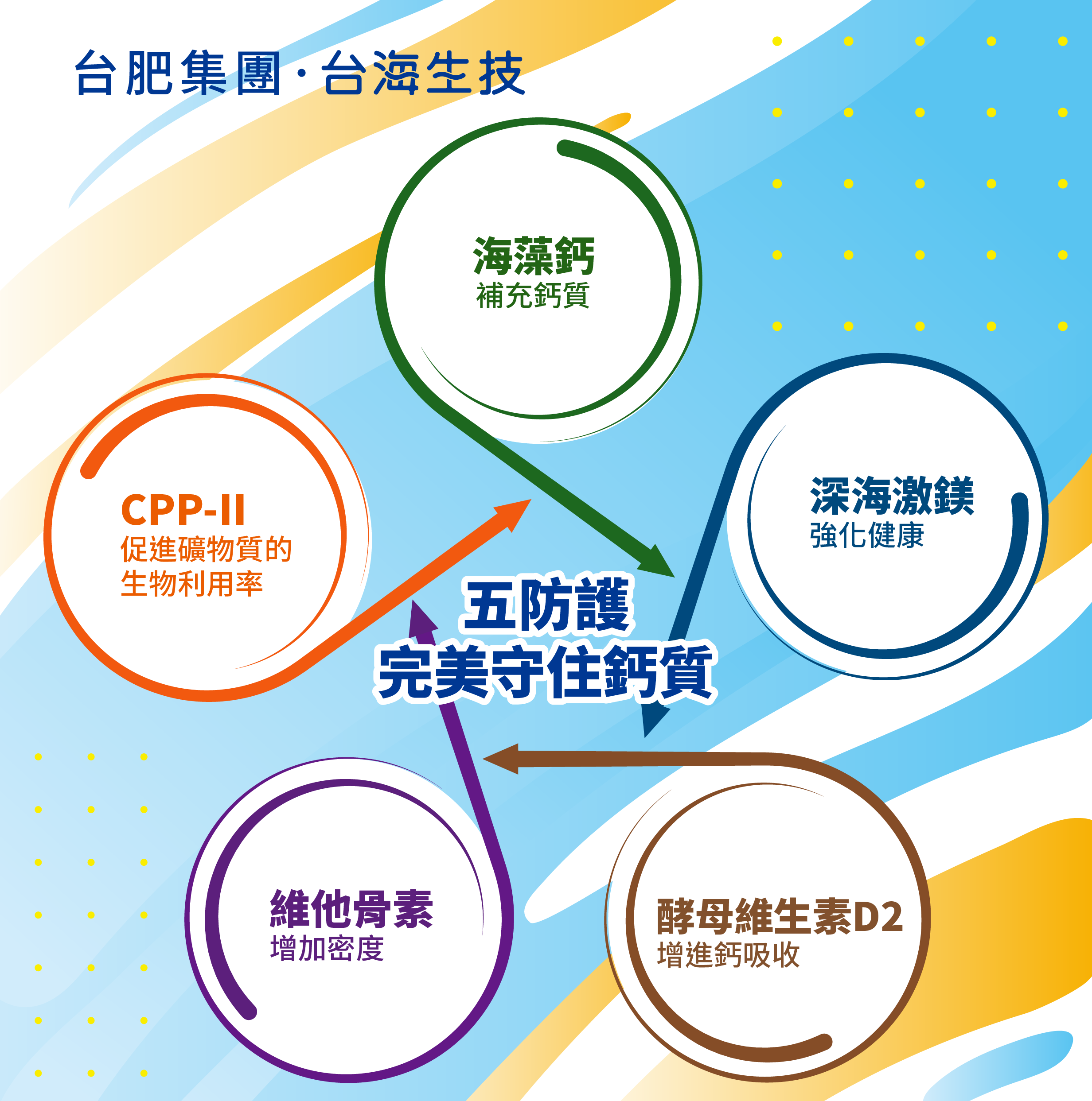 五防護 守住鈣質