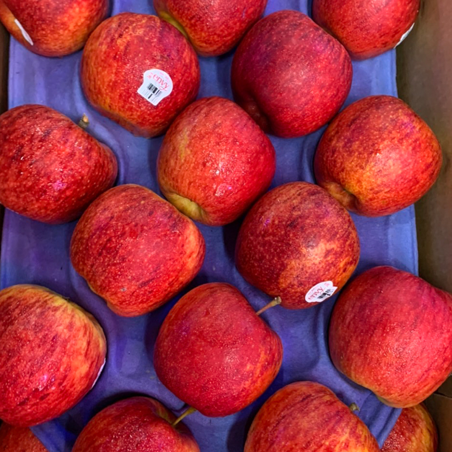 冷藏]智利愛妃蘋果(32顆裝)