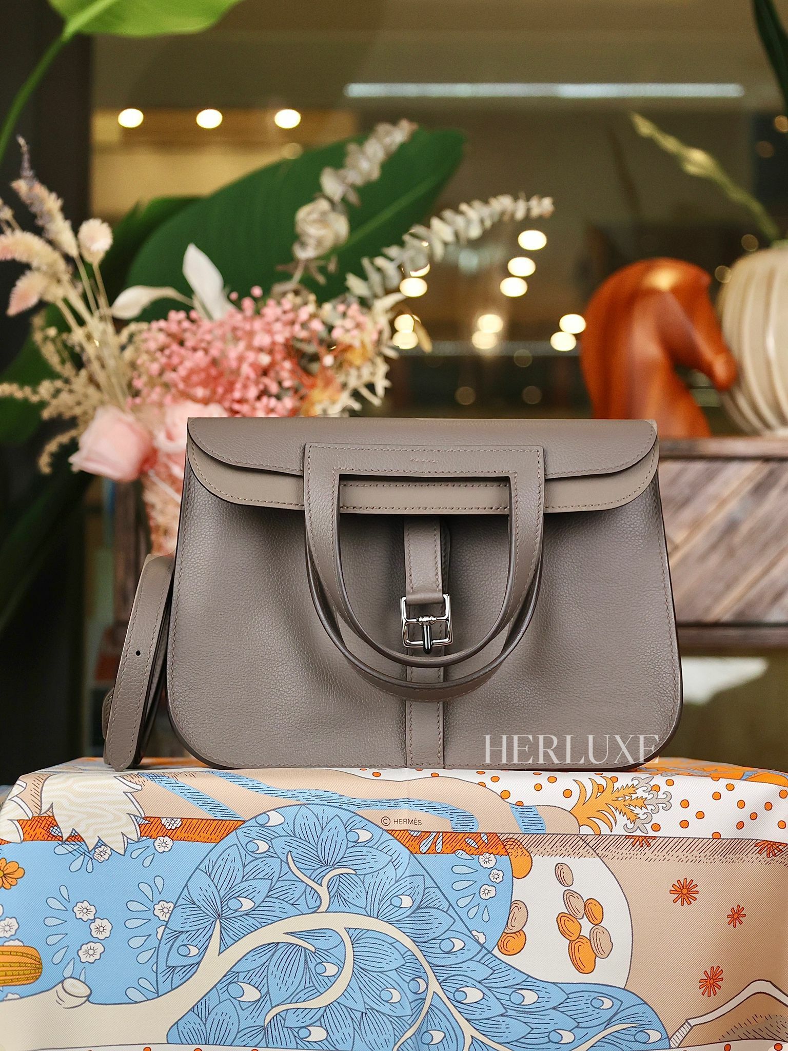 Halzan 25 8F etain ck evercolor W