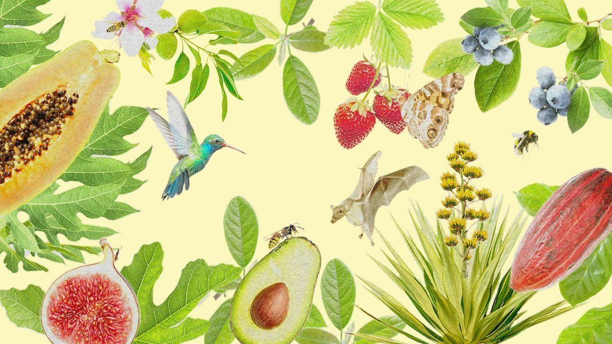 國際品牌研發出「創意感」滿分的口腔保養品！