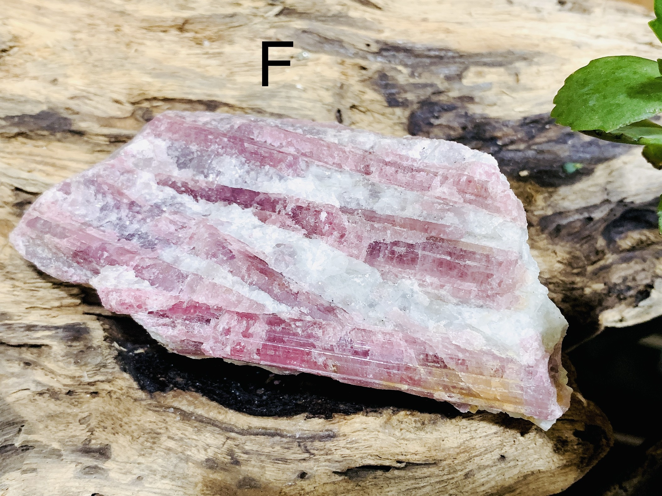 玫瑰碧璽原礦丨十月誕生石