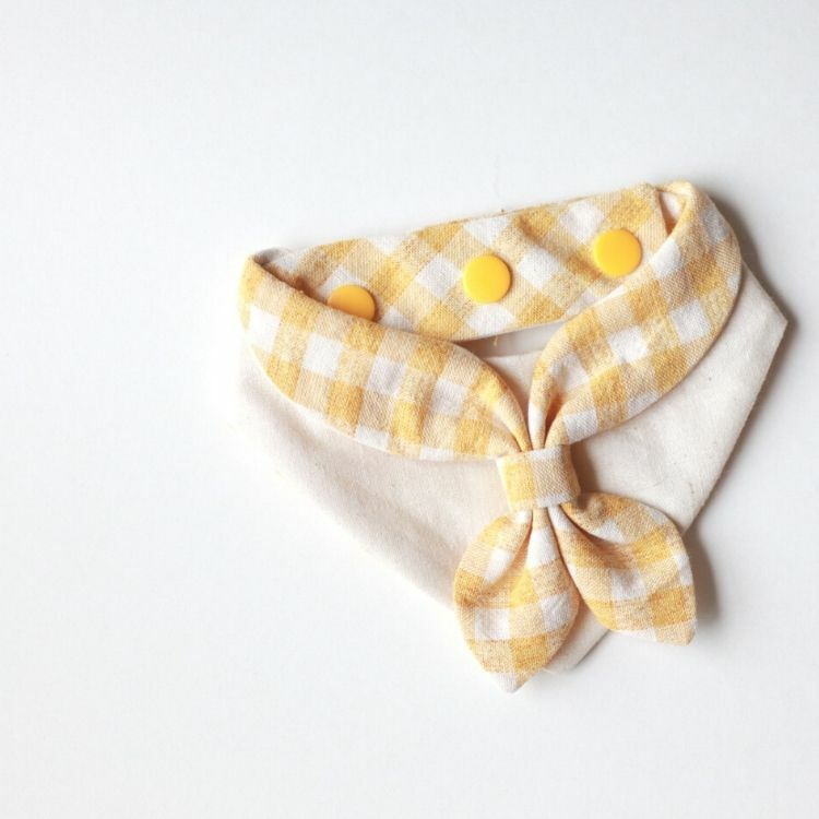 𝙱𝙾𝙺𝙸𝚁剝殼栗子 - 野餐派對〖暖太陽 〗