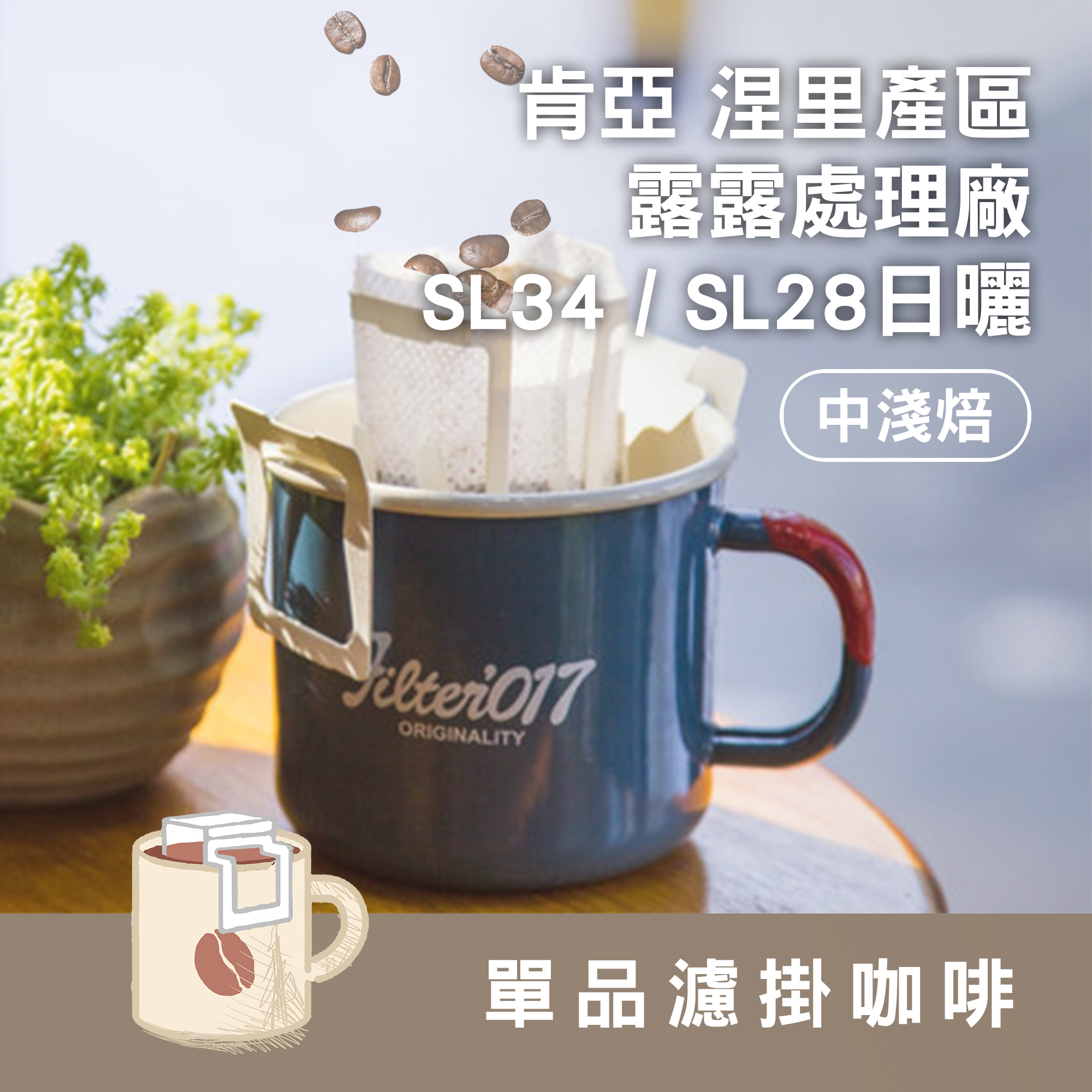 濾掛10包 / 中淺焙 肯亞 涅里產區 露露處理廠 SL28/SL34 日曬