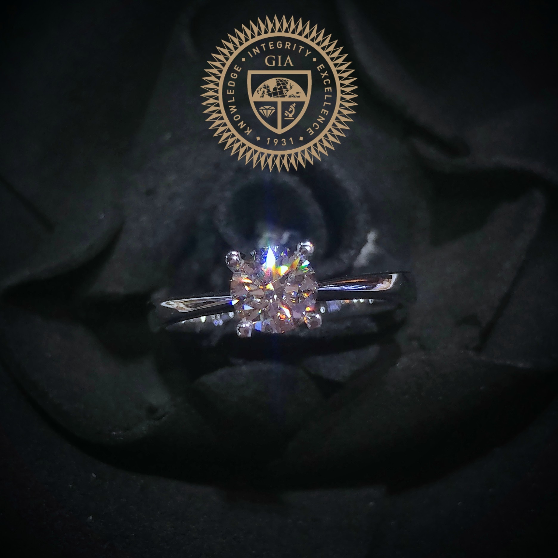 18K White Gold 0.53ct Diamond Ring