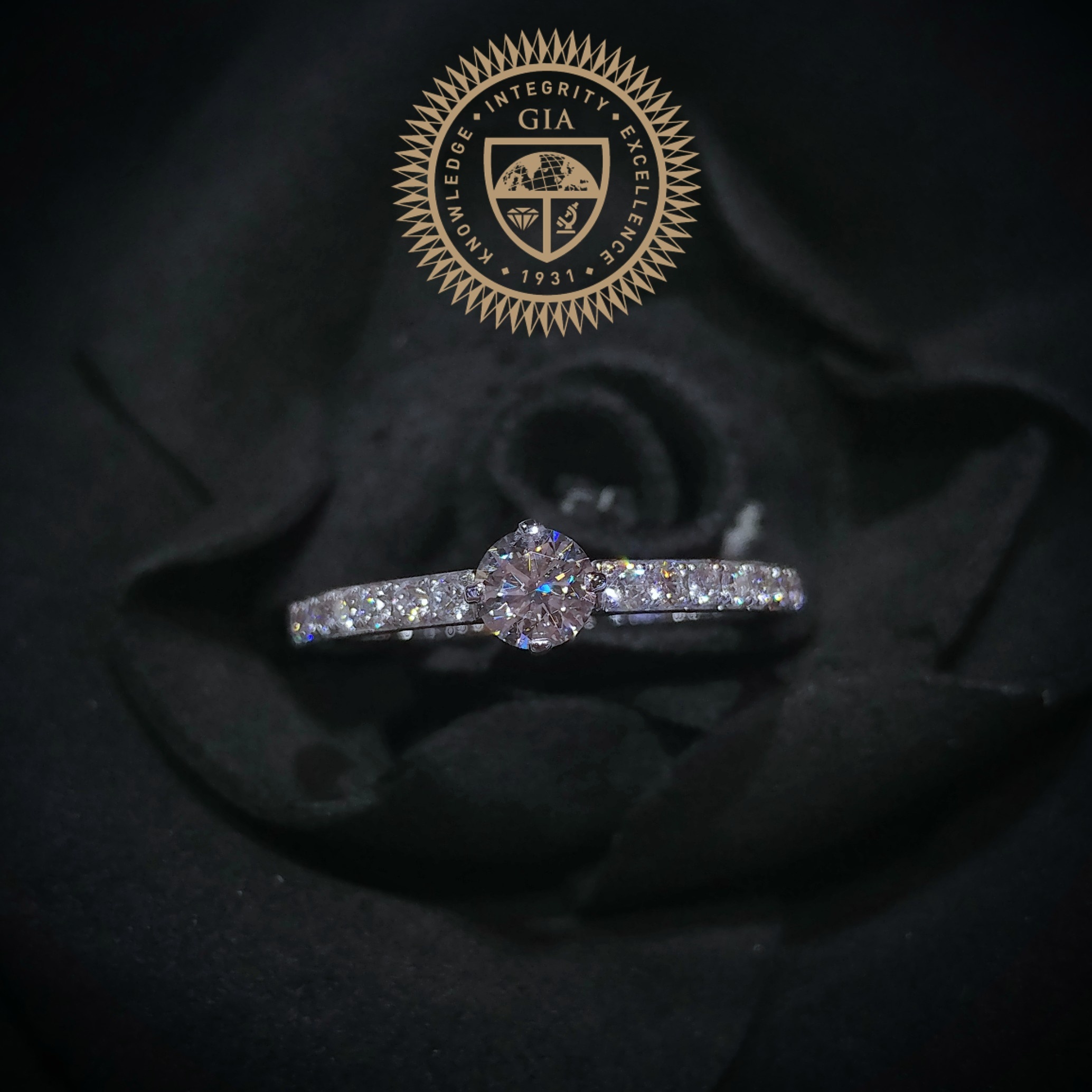 全新18K白金【單粒32份鑽石】配小鑽共62份鑽石戒指