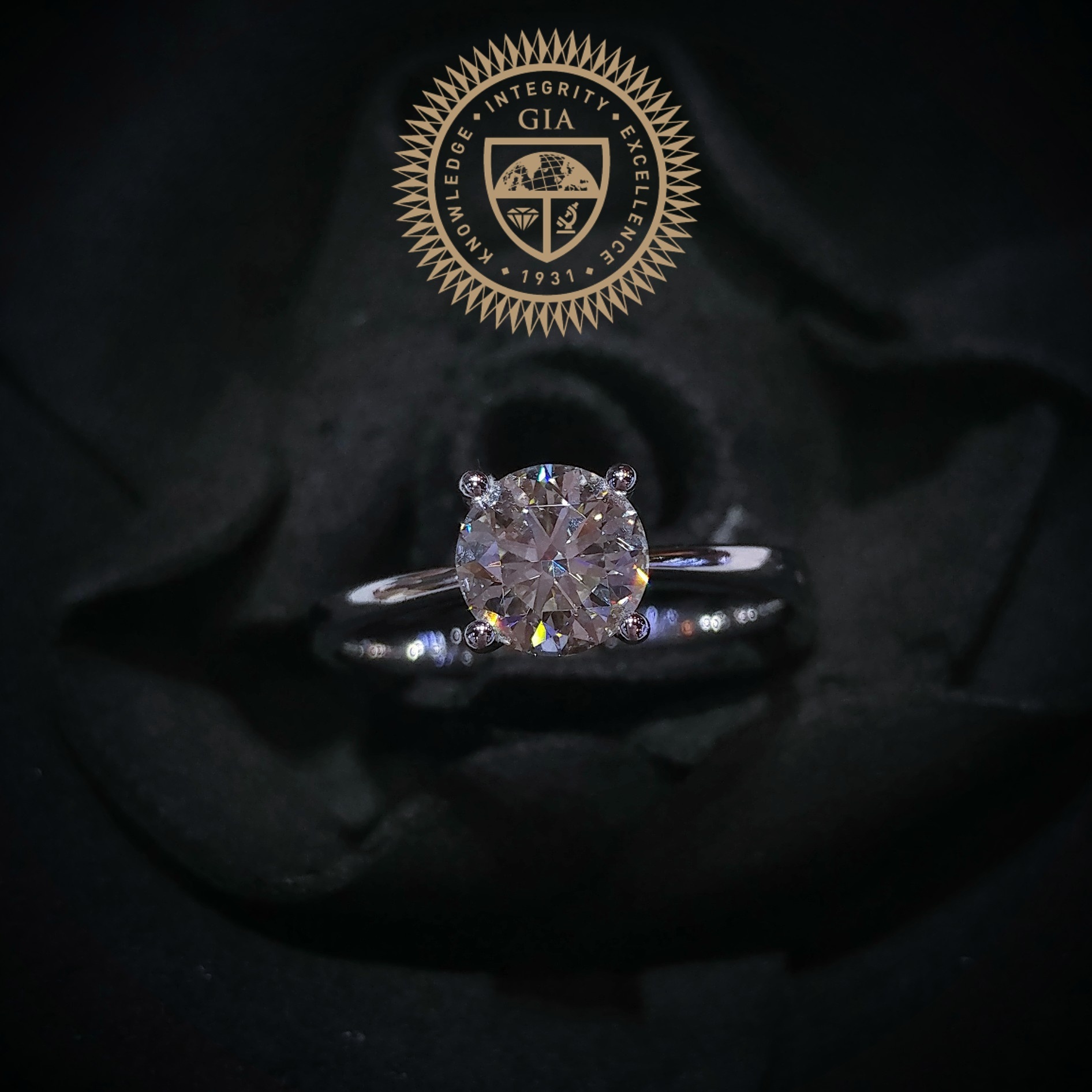 18K White Gold 1.00ct Diamond Ring