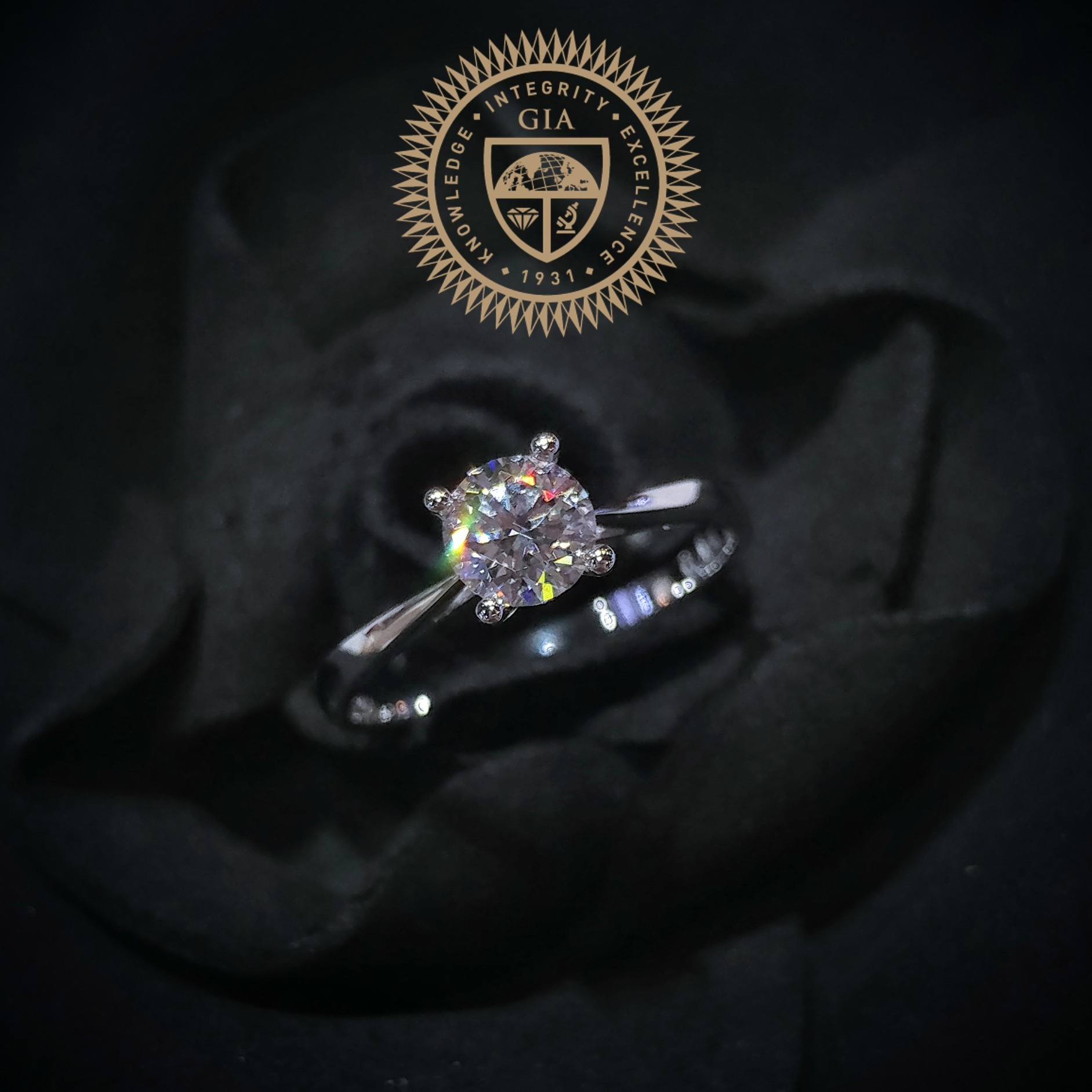 18K White Gold 0.50ct GIA Diamond Ring