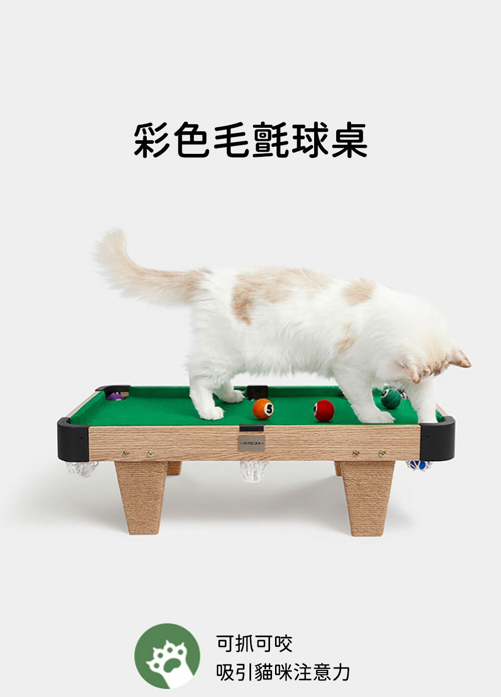 Vetreska 貓咪桌球遊玩套裝