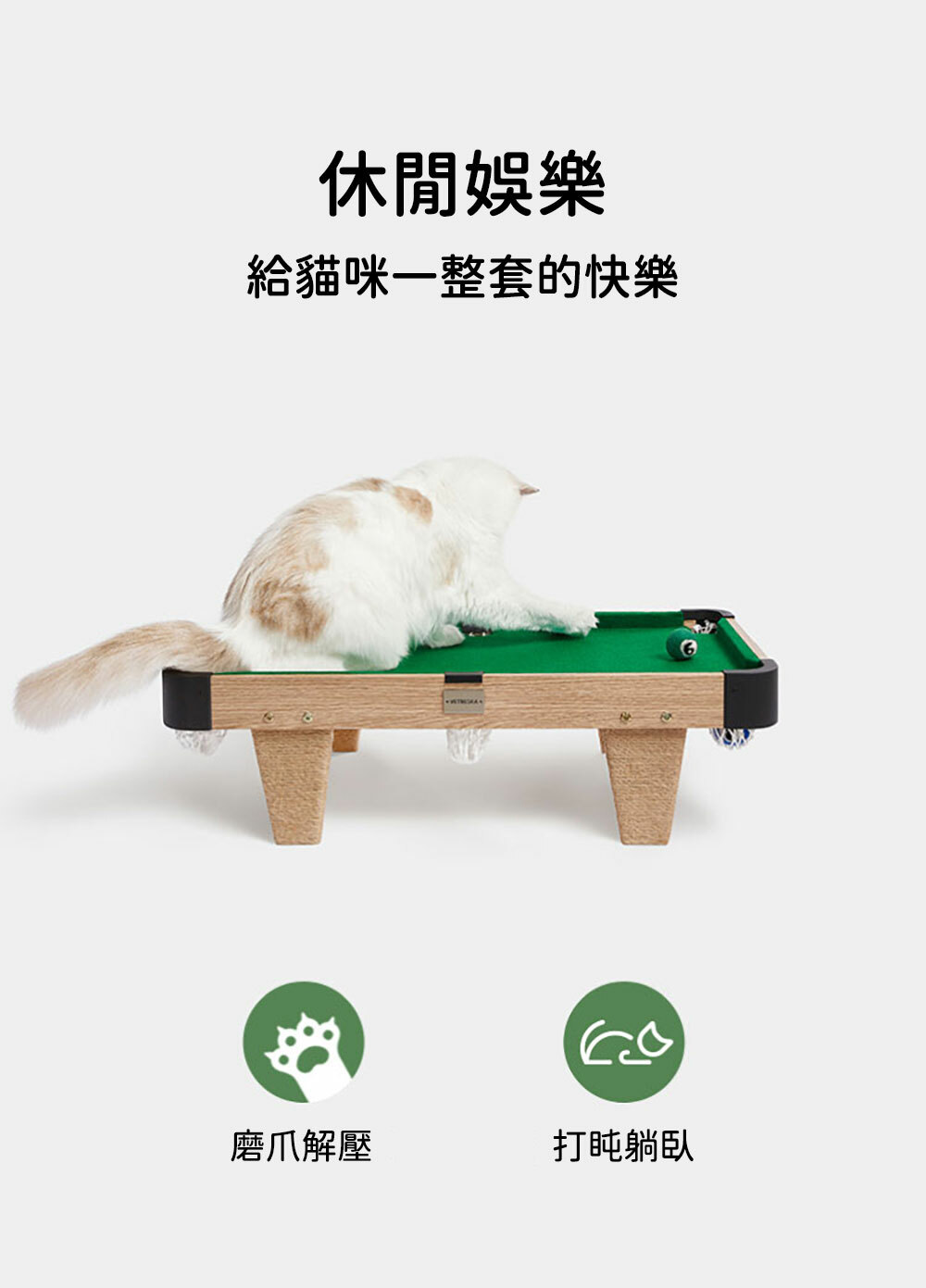 Vetreska 貓咪桌球遊玩套裝