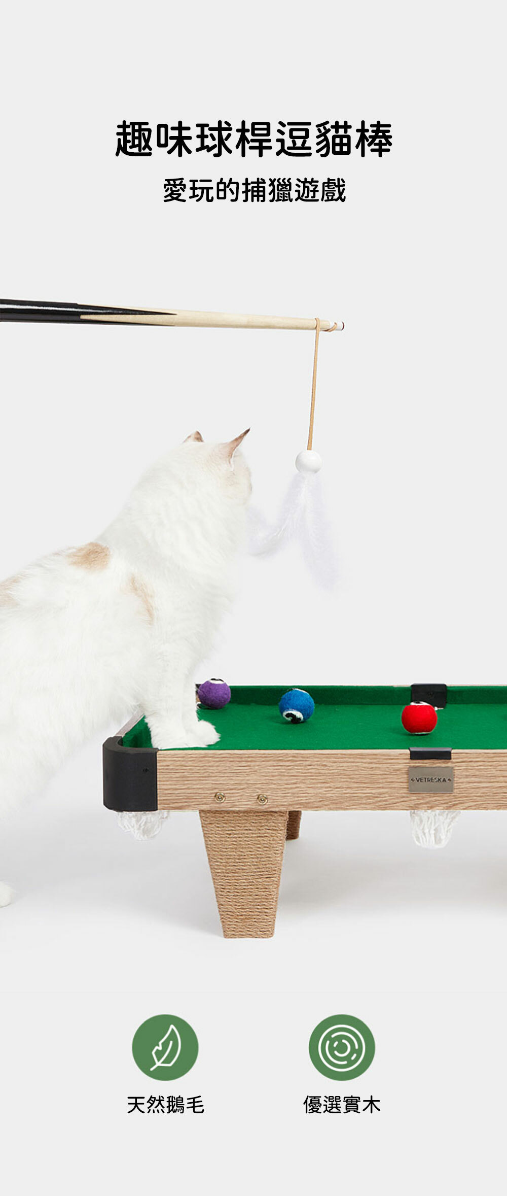 Vetreska 貓咪桌球遊玩套裝